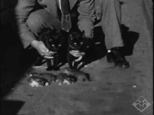 ボローニャNo. 16ナカタ Junya Watanabe Comme des Garçons S/S 2008 Floral Cotton Jacket (XS