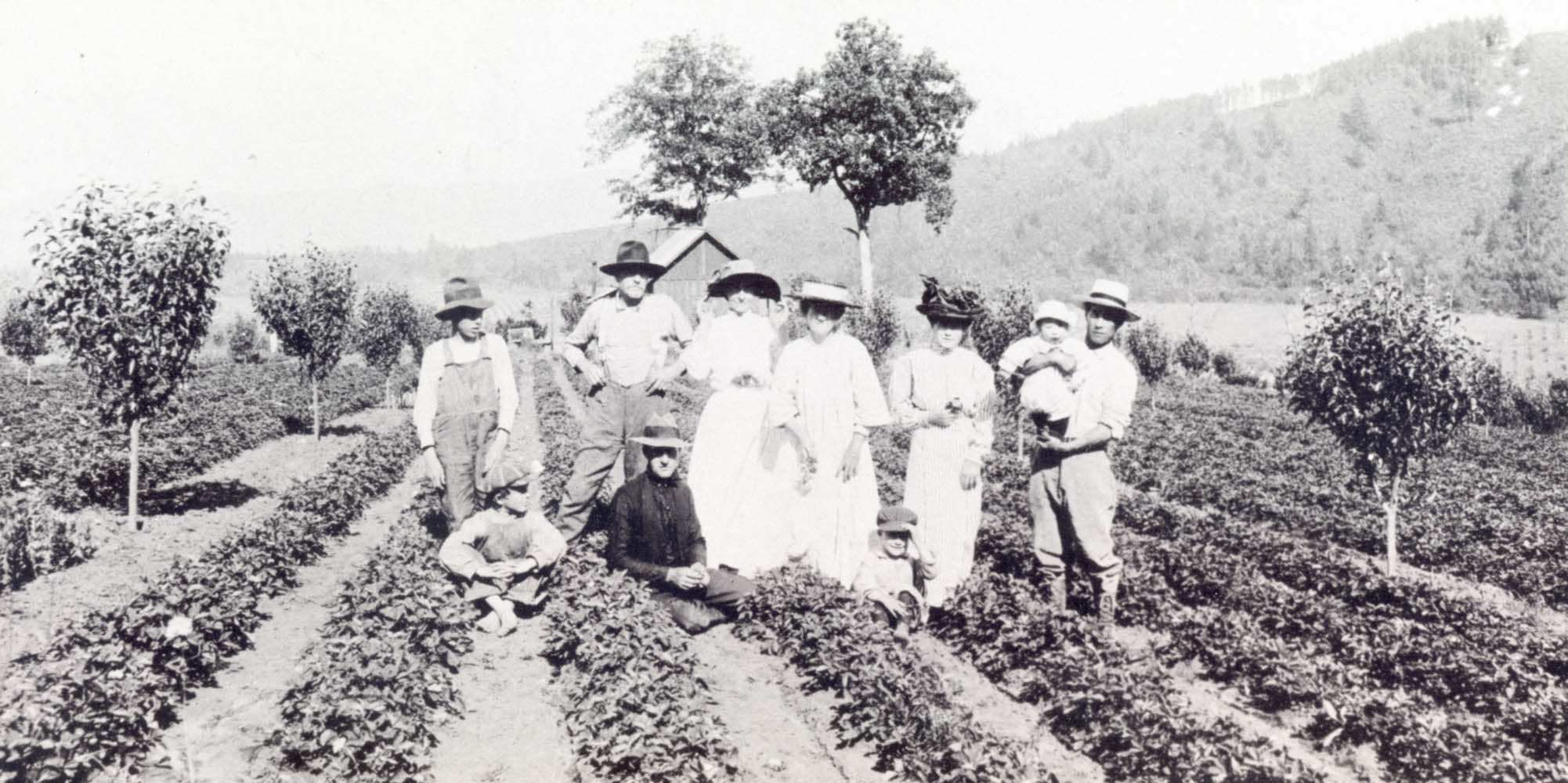 Chapter 3 — Development Of Japanese Farming Communities Discover Nikkei