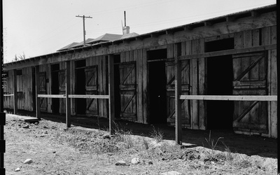 Thumbnail for Horse Stall Housing, Spoiled Ham, and Other Stories of Life in Tanforan - Part 1