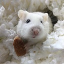 Profile image of Taylor Wilson