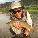 Profile image of Ken Okuno