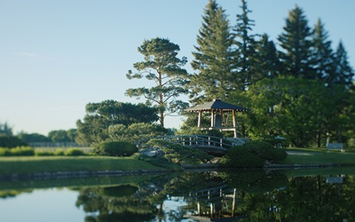 Thumbnail for 日系カナダ人庭園の広大で複雑な歴史を探る