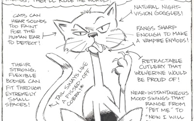 Thumbnail for Journal Entry #About 86 Million in the U.S.: "Felis Catus Facts..."