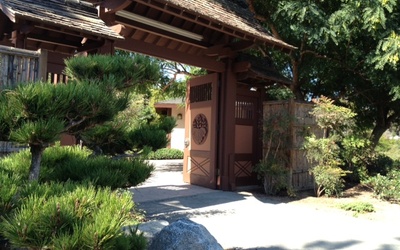 Thumbnail for Revisiting Balboa Park Japanese Friendship Garden