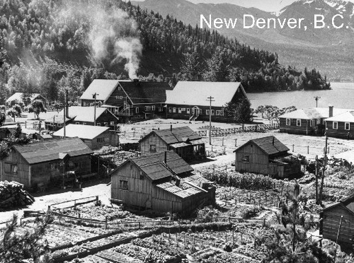 Life In The Canadian Internment And POW Camps Discover Nikkei   243b8a2e0389d48d20aec0679fe275ff 