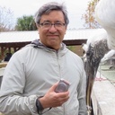 Profile image of Otis Wright Ginoza