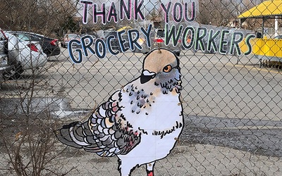 Thumbnail for トロントで巨大な鳩が愛と感謝のメッセージを運ぶ