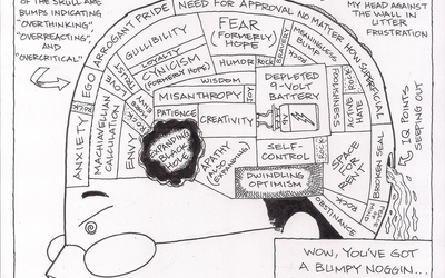 Thumbnail for Journal Entry #Circa 18th - 19th Century: "Cranial Craze..."