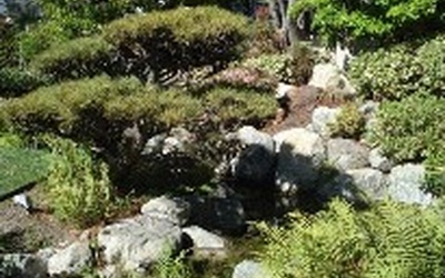 Thumbnail for The Cultural Implications and Authenticity of Japanese-style Gardens of California