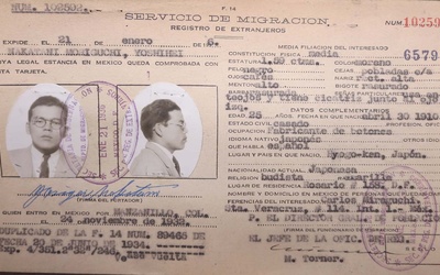 Thumbnail for O amendoim japonês que a família Nakatani nos deixou