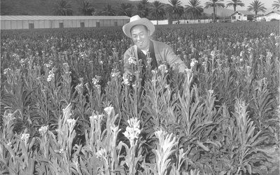 Thumbnail for Los cultivadores de flores japoneses-estadounidenses que hicieron florecer a Phoenix