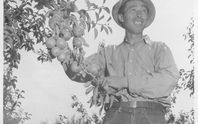 Thumbnail for Yesterday’s Farmer: Eiichi Edward Sakauye (1912-2005)