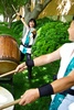 Korabo Taiko