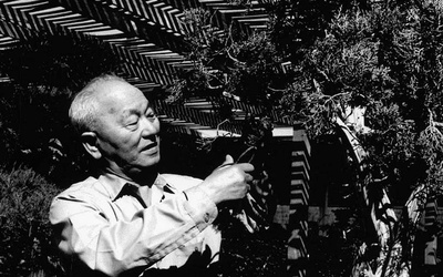 Thumbnail for 生きた工芸品：デスカンソ庭園のツバキと日系アメリカ人の歴史
