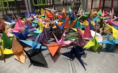 Thumbnail for Twenty Thousand Cranes And More: Stories Behind Washington State's Tsuru For Solidarity and Crystal City, Texas
