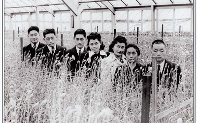 Thumbnail for <em>Blossoms and Thorns: A Community Uprooted</em>: New documentary portrays a vanishing industry