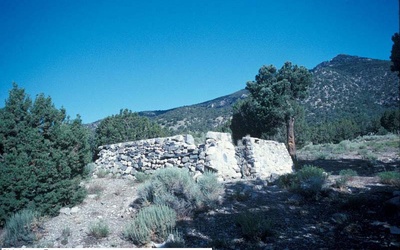Thumbnail for Freedom Springs desde las montañas de Utah: una historia ambiental de Camp Antelope Springs y la agencia de presos japoneses estadounidenses