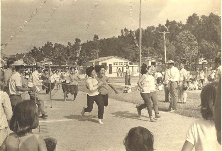 Associação Mineira de Cultura Nipo-Brasileira