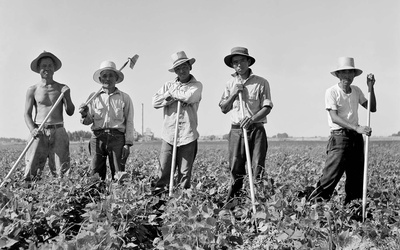Thumbnail for Perguntas e respostas com Morgen Young, curador da exposição <em>Desenraizada</em> sobre trabalhadores agrícolas Nikkei da Segunda Guerra Mundial
